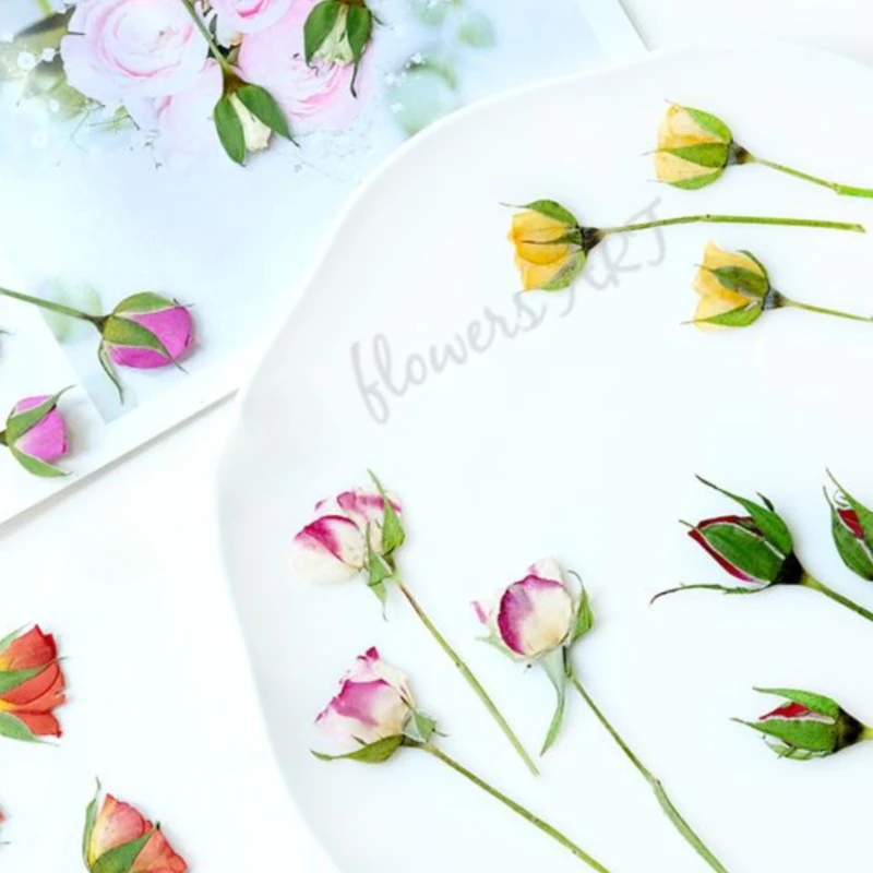 Preslenmiş Gül Tomurcuğu Çiçek - Photo Frame Baby incelemesi ve fiyatı