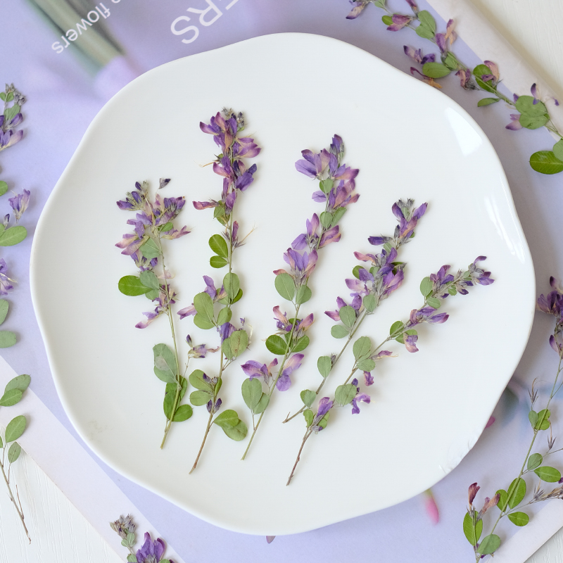 6 adet, doğa Lespedeza Formosa - Photo Frame Baby incelemesi ve fiyatı