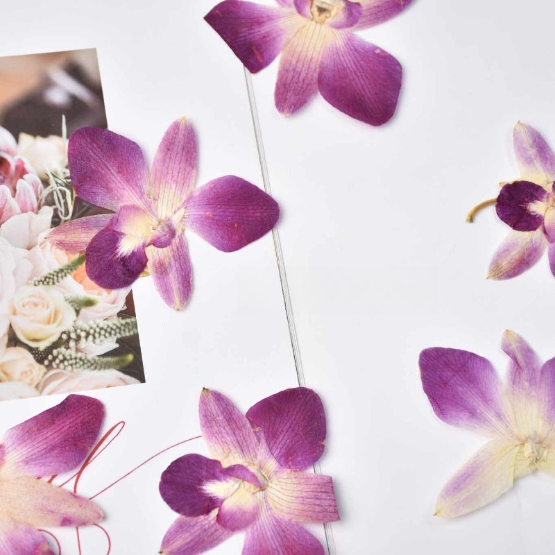 4 adet, Gerçek Preslenmiş Kele - Photo Frame Baby incelemesi ve fiyatı