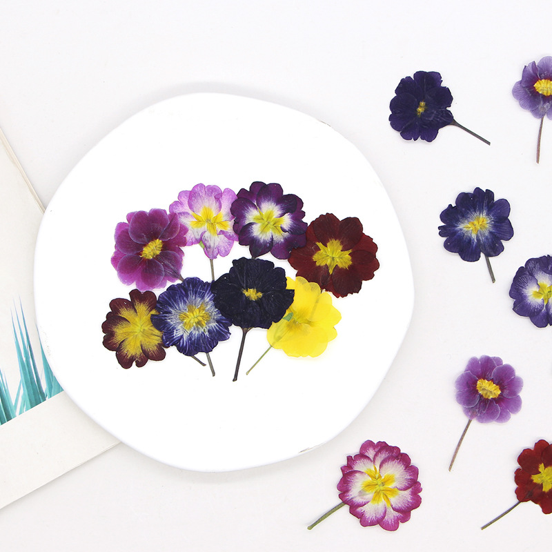 48 Adet Avrupa Çiçeksiği Öğret - Photo Frame Baby incelemesi ve fiyatı