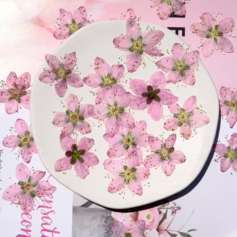 3-4cm./6 adet, Pembe Şeftali Ç - Photo Frame Baby incelemesi ve fiyatı