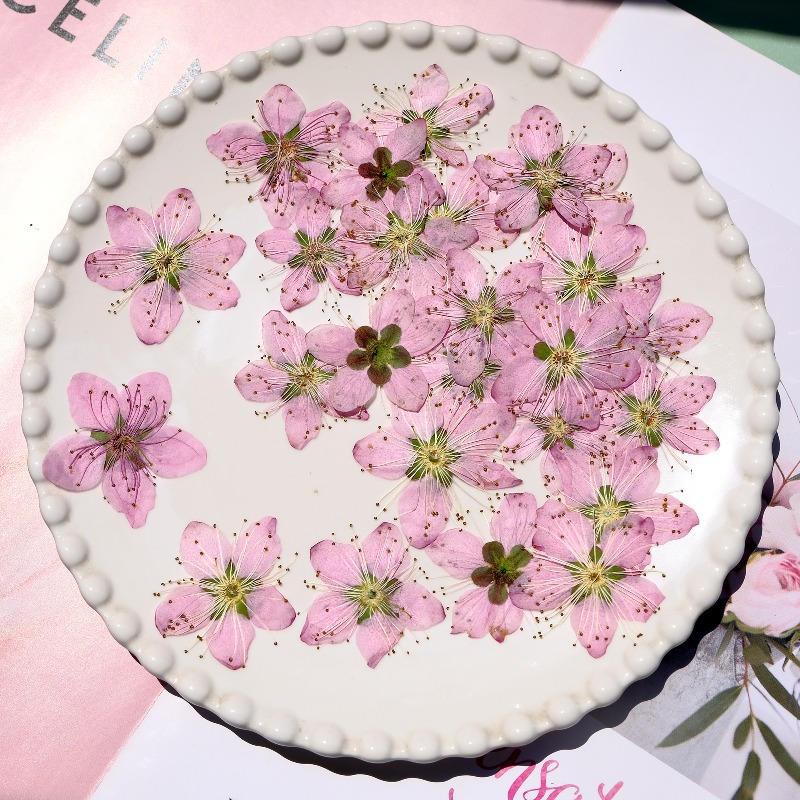 3-4cm./6 adet, Pembe Şeftali Ç - Photo Frame Baby incelemesi ve fiyatı
