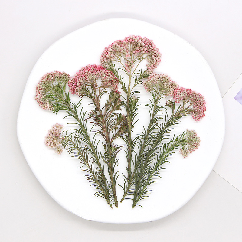 12 adet, Doğa Darı Çiçek Dalla - Photo Frame Baby incelemesi ve fiyatı