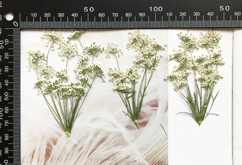5-7 cm/12 adet, Şube ile Kar M - Photo Frame Baby incelemesi ve fiyatı